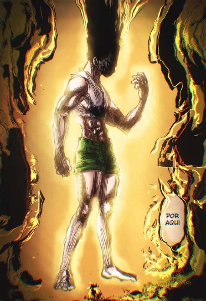When Does Gon Transform