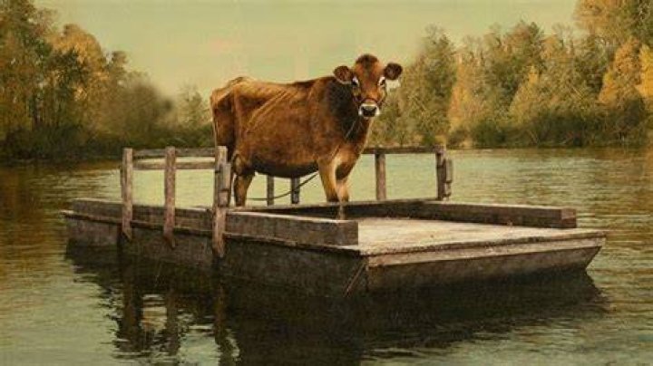 Where To Watch First Cow