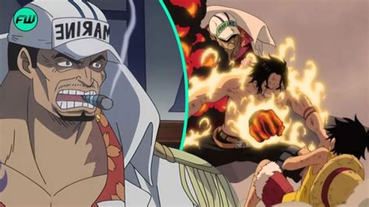 Who Defeat Akainu