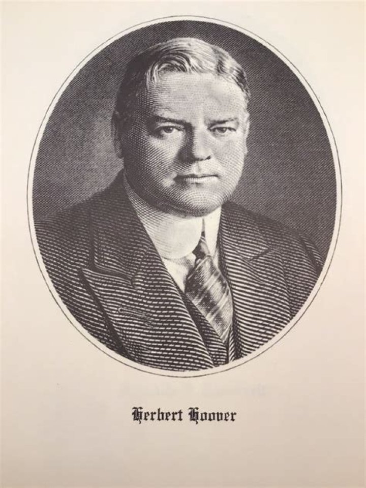 Who did Vince Herbert discover?
