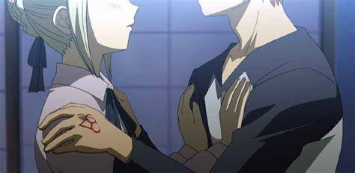 Who Does Shirou End Up With