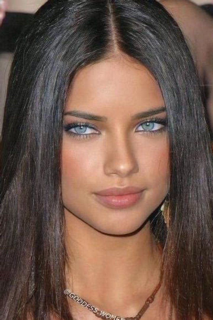 Who Is Adriana Lima's Boyfriend? All About Andre Lemmers