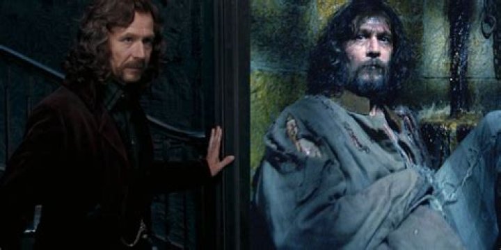 Who Saved Harry And Sirius