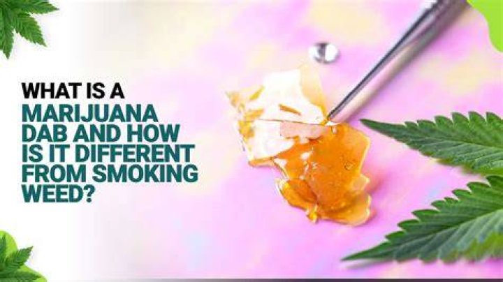 Willie Nelson's Step Back From Smoking Marijuana Explained