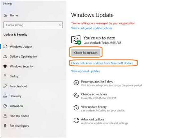 Windows 10 Update Check