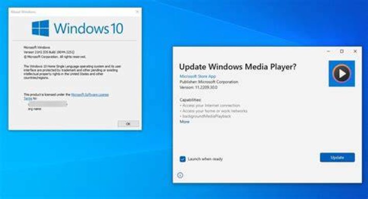 Windows 10 v1903 gets DCH drivers with variable refresh rate options
