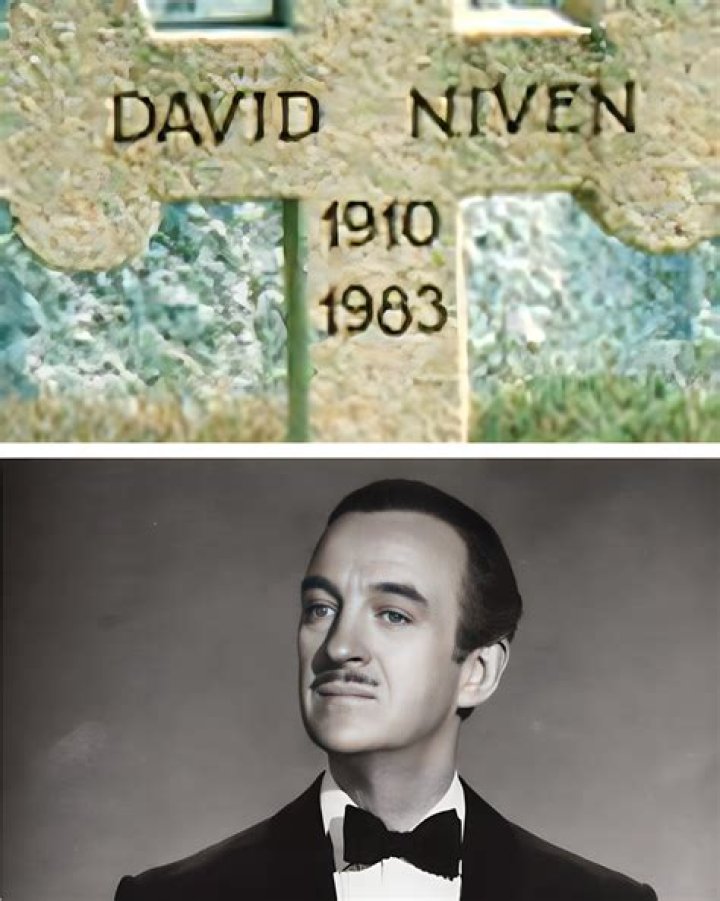 Worldy & Witty David Niven!