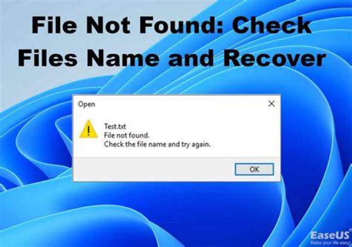 Xinput1_3.dll was not found